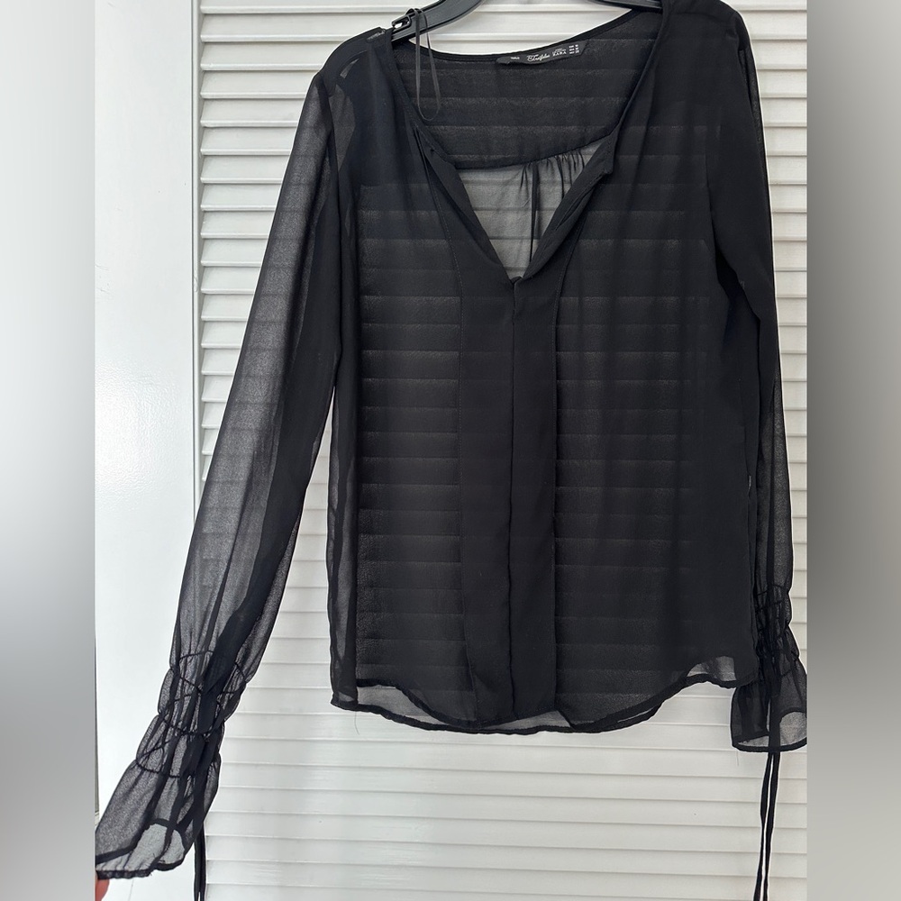 Zara sheer top